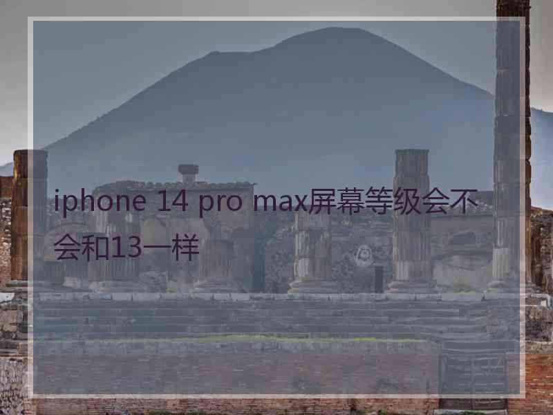 iphone 14 pro max屏幕等级会不会和13一样