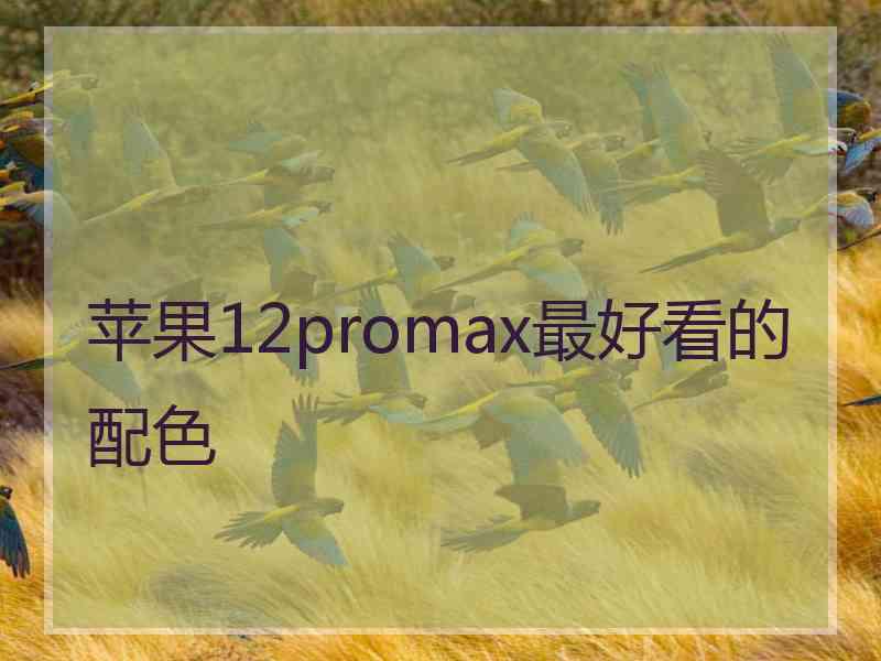 苹果12promax最好看的配色