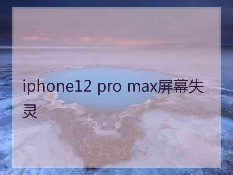 iphone12 pro max屏幕失灵