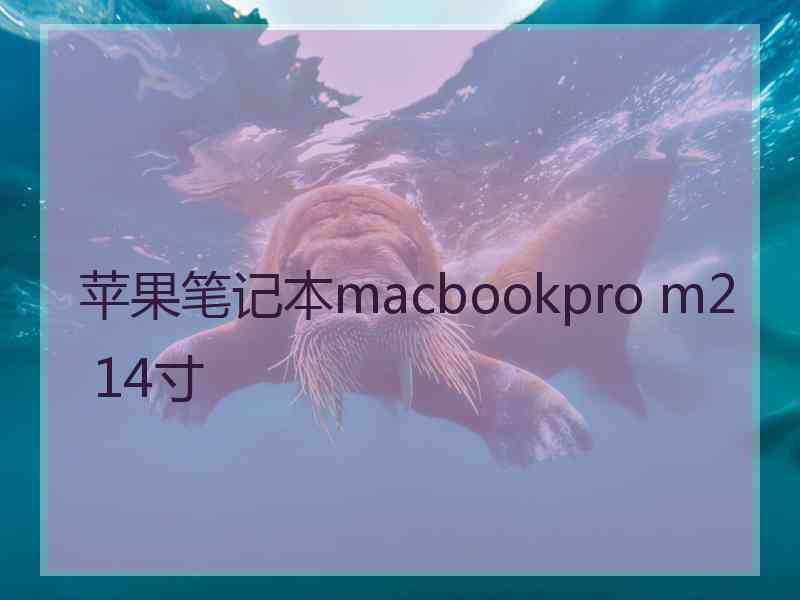 苹果笔记本macbookpro m2 14寸