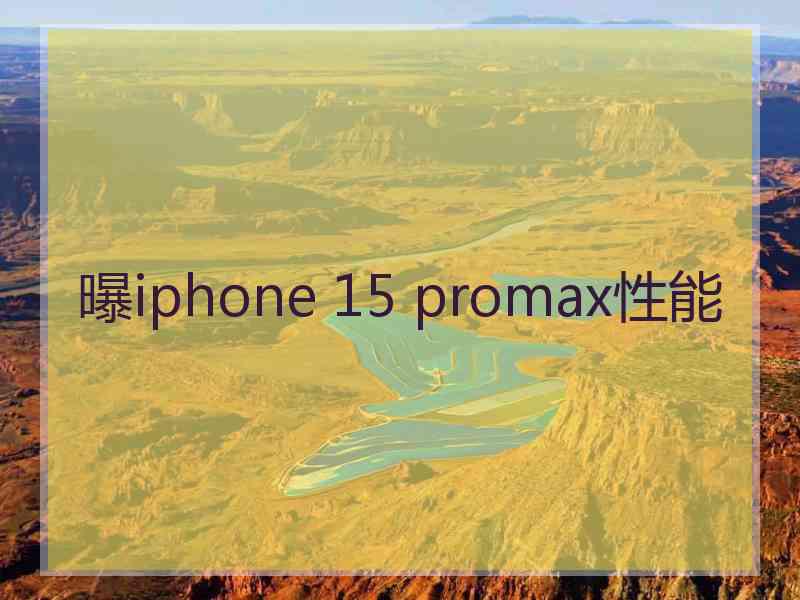 曝iphone 15 promax性能