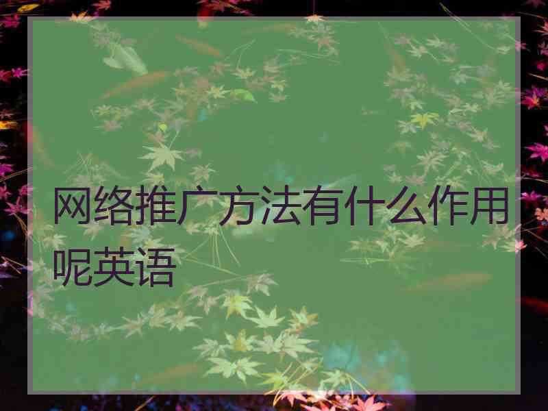 网络推广方法有什么作用呢英语