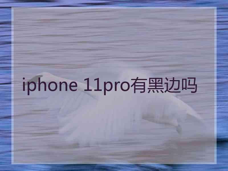 iphone 11pro有黑边吗