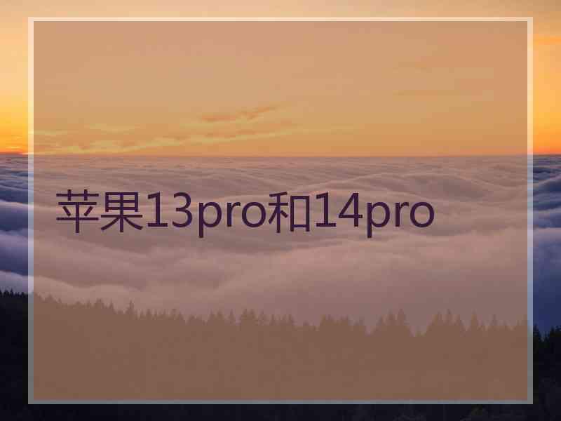 苹果13pro和14pro