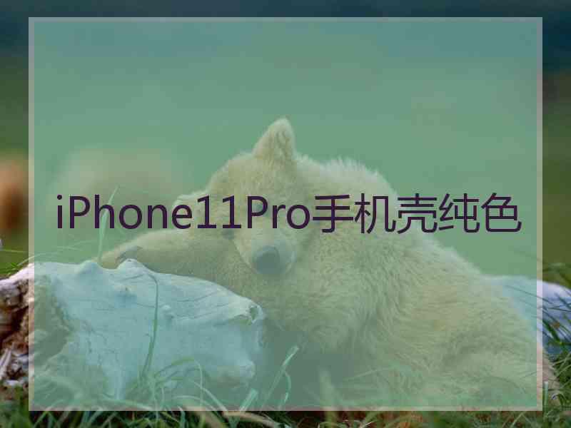 iPhone11Pro手机壳纯色