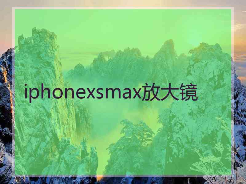 iphonexsmax放大镜