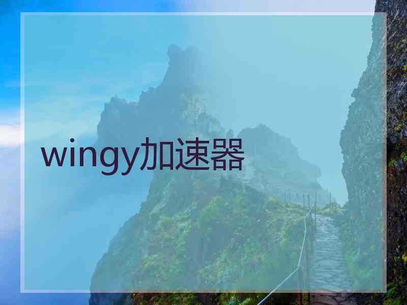 wingy加速器