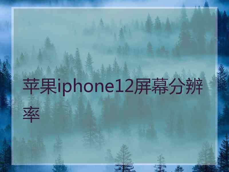 苹果iphone12屏幕分辨率