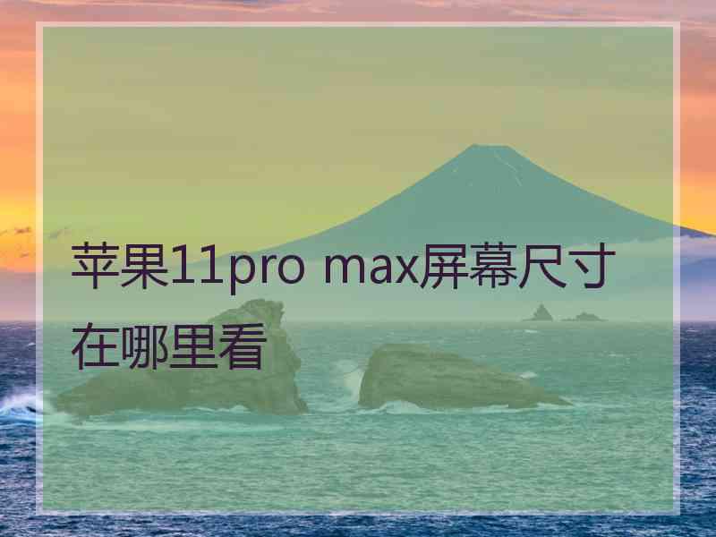 苹果11pro max屏幕尺寸在哪里看