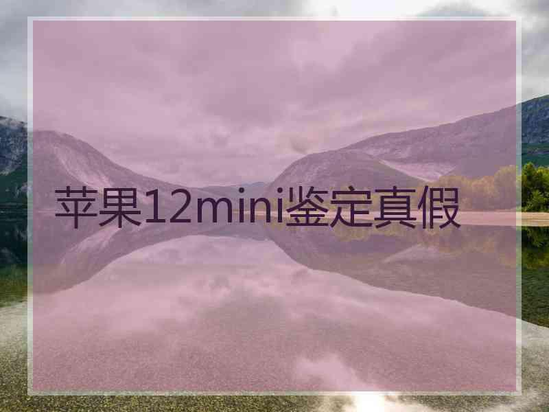 苹果12mini鉴定真假