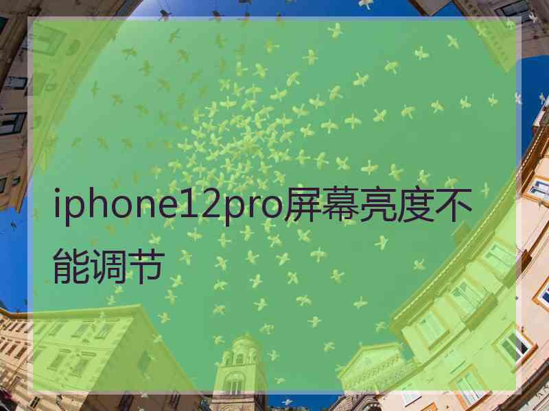 iphone12pro屏幕亮度不能调节