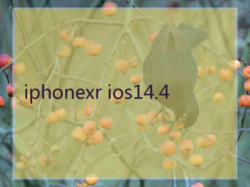 iphonexr ios14.4