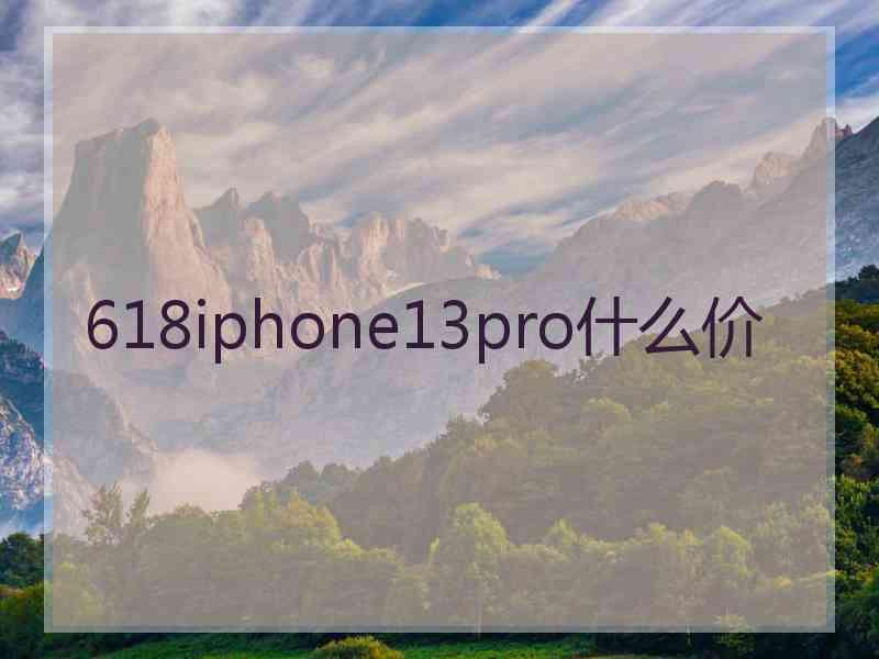 618iphone13pro什么价