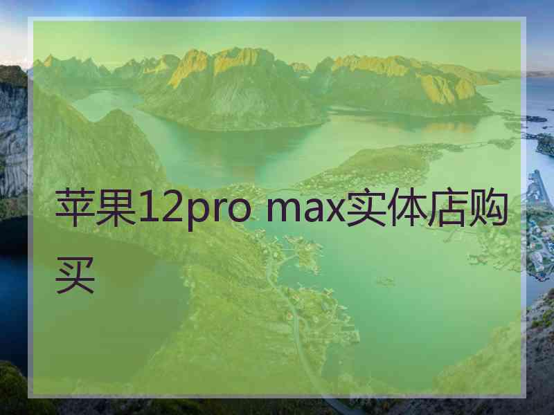 苹果12pro max实体店购买