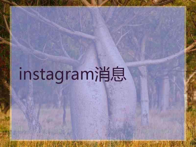 instagram消息