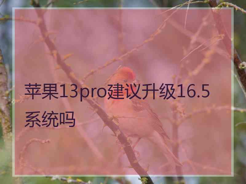 苹果13pro建议升级16.5系统吗