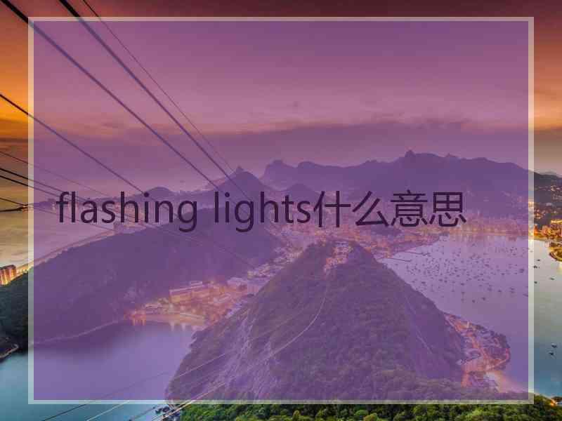 flashing lights什么意思