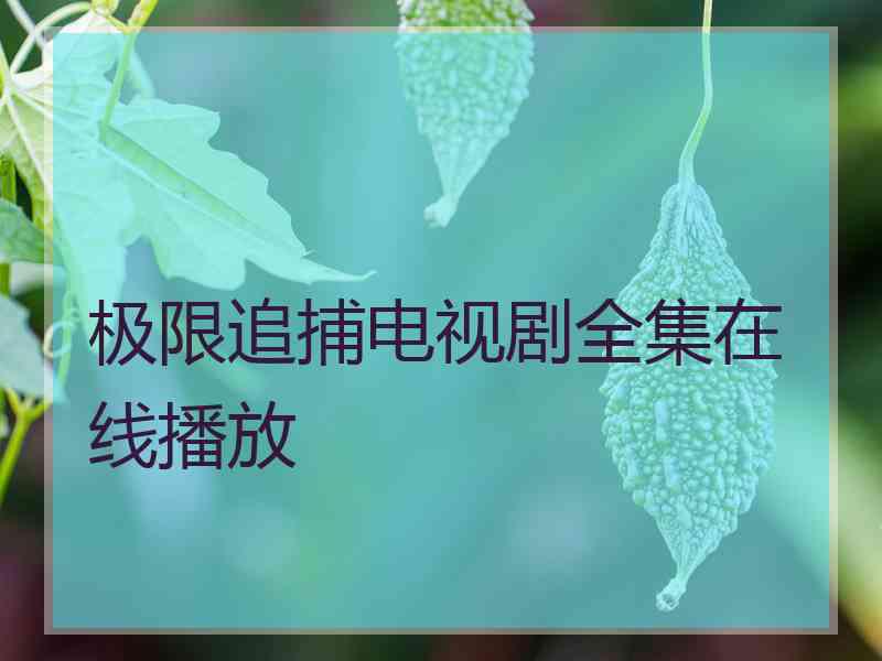 极限追捕电视剧全集在线播放