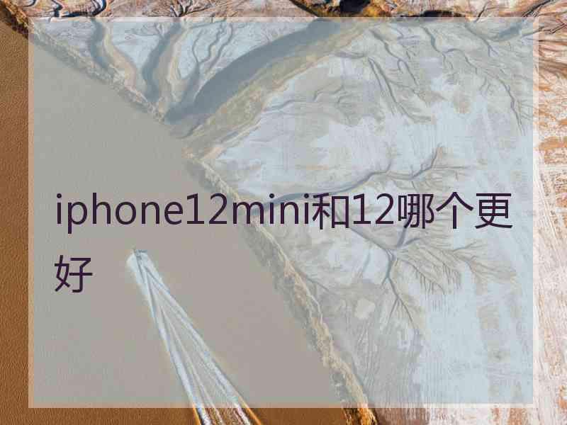 iphone12mini和12哪个更好