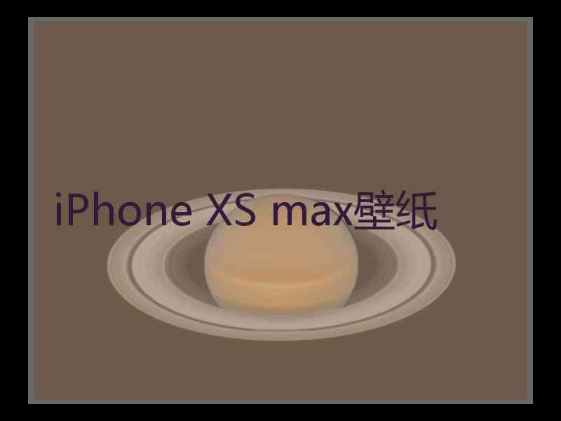 iPhone XS max壁纸