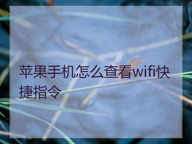 苹果手机怎么查看wifi快捷指令