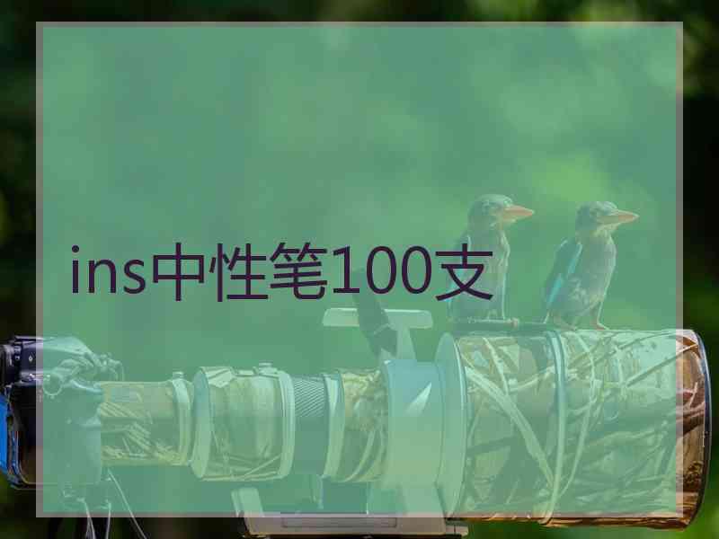 ins中性笔100支