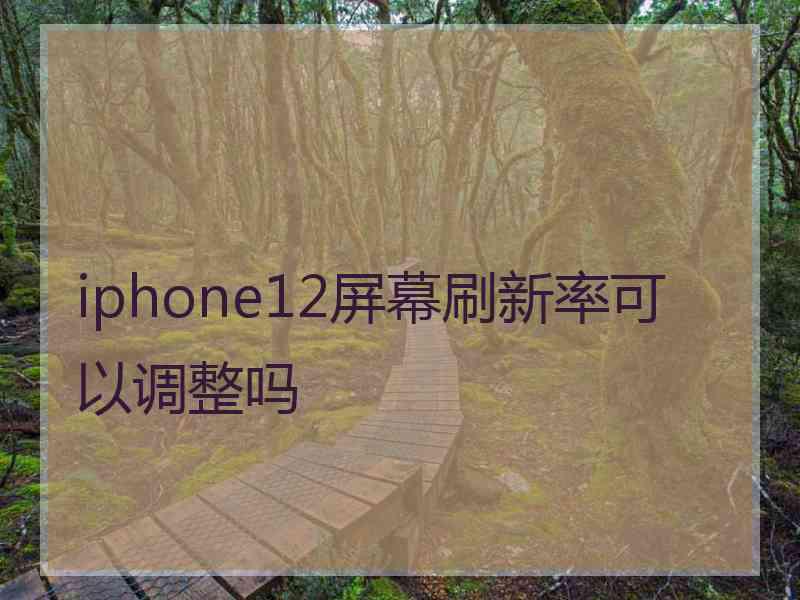 iphone12屏幕刷新率可以调整吗