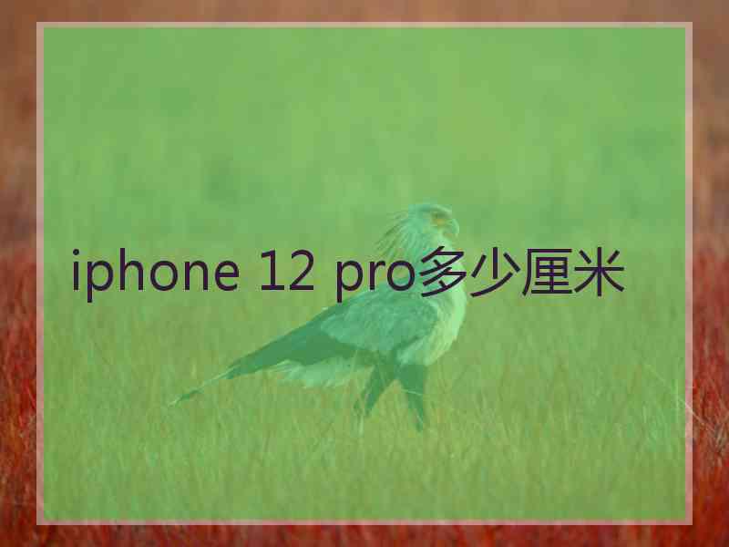 iphone 12 pro多少厘米