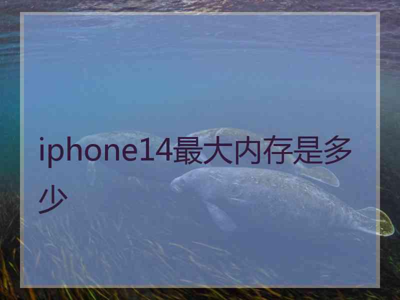 iphone14最大内存是多少