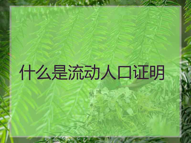 什么是流动人口证明