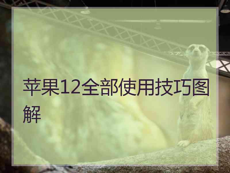 苹果12全部使用技巧图解