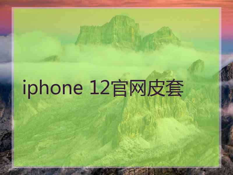 iphone 12官网皮套