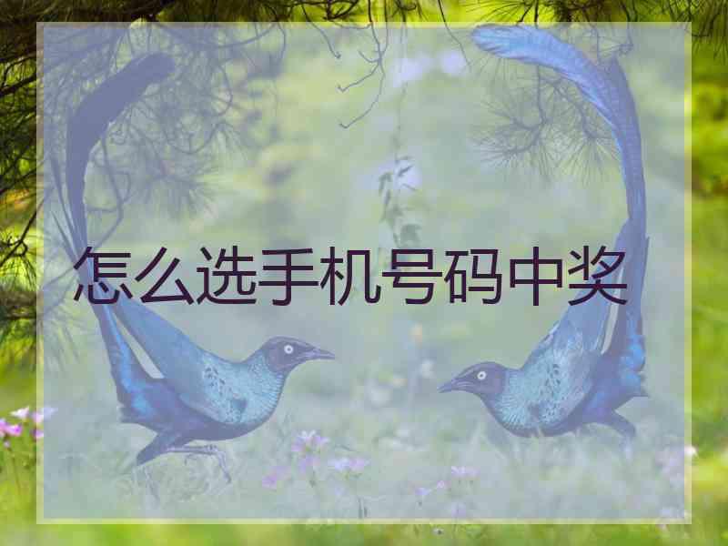 怎么选手机号码中奖