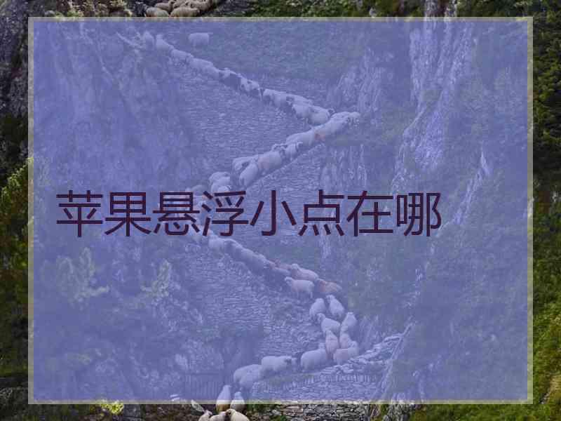 苹果悬浮小点在哪