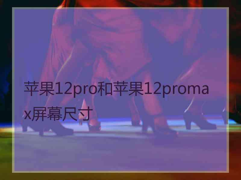 苹果12pro和苹果12promax屏幕尺寸