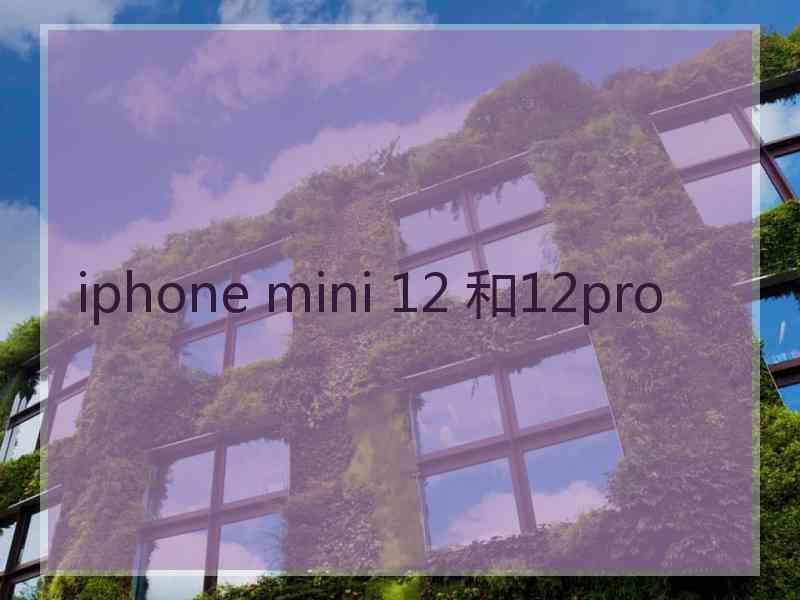 iphone mini 12 和12pro