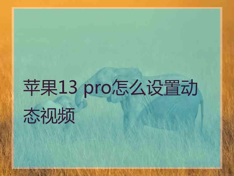 苹果13 pro怎么设置动态视频