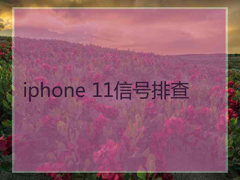 iphone 11信号排查