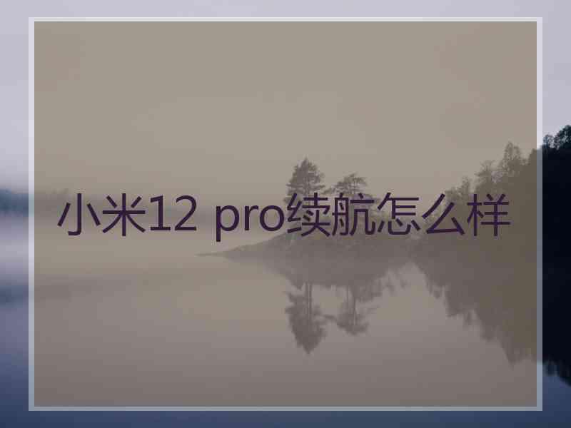 小米12 pro续航怎么样