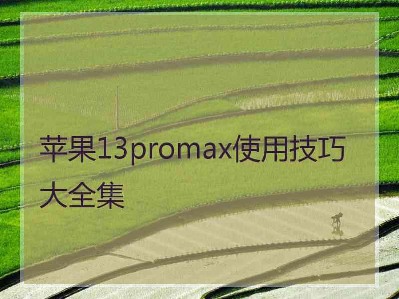 苹果13promax使用技巧大全集