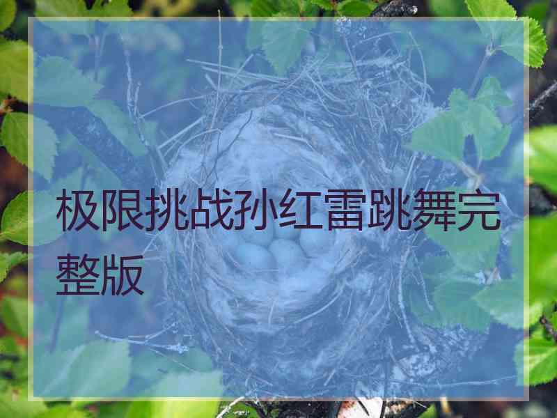 极限挑战孙红雷跳舞完整版