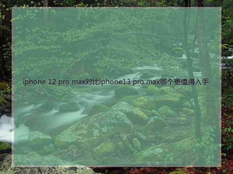 iphone 12 pro max对比iphone13 pro max哪个更值得入手