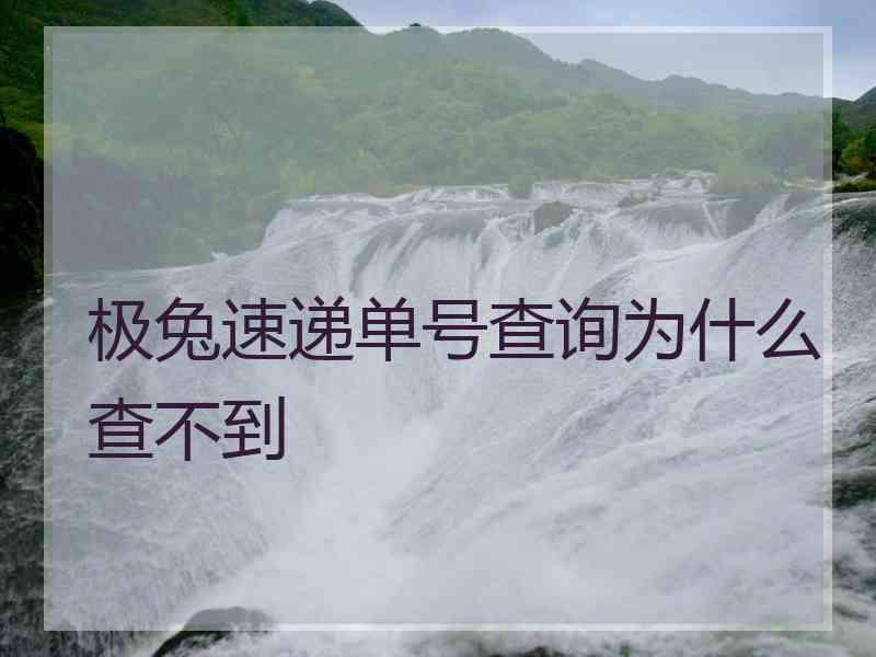 极兔速递单号查询为什么查不到