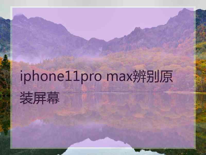 iphone11pro max辨别原装屏幕