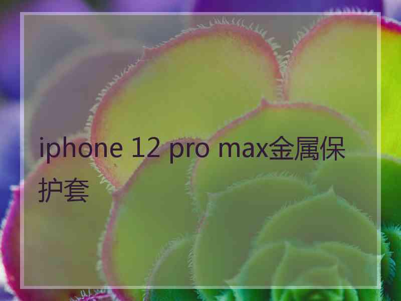 iphone 12 pro max金属保护套