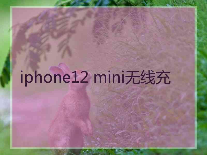 iphone12 mini无线充