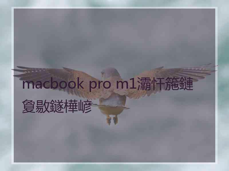 macbook pro m1灞忓箷鏈夐敭鐩樺嵃