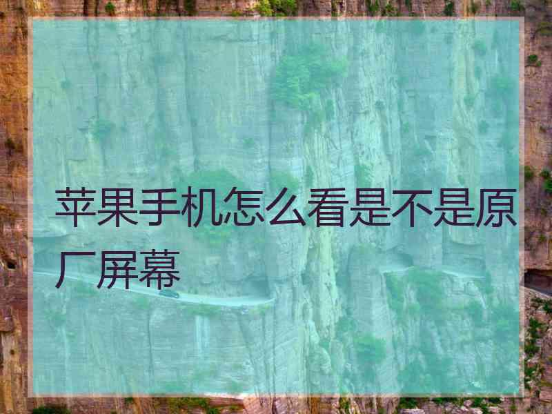 苹果手机怎么看是不是原厂屏幕