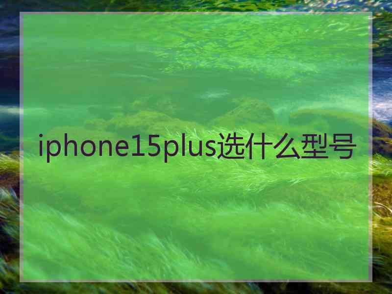 iphone15plus选什么型号