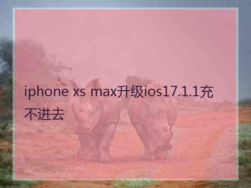 iphone xs max升级ios17.1.1充不进去